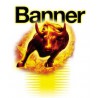 Banner Batteries